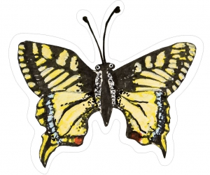 Nástěnná dekorace motýl Otakárek fenyklový